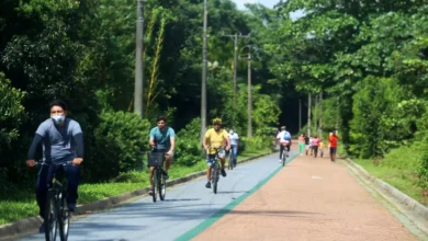 Photo of Parque Estadual do Utinga está entre os 5 mais buscados do Brasil e atrai cada vez mais visitantes