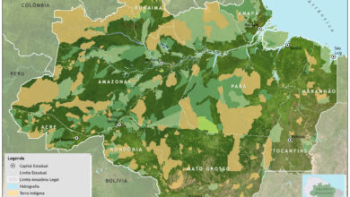 Photo of Seis estados da Amazônia Legal estão entre os mais violentos para crianças e adolescentes