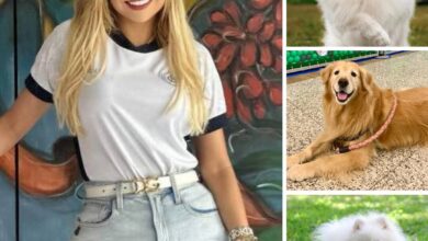 Photo of Hipocrisia em Marituba: Patrícia Alencar exibe seus luxuosos pets de raça enquanto proíbe cachorros de rua de receberem alimentos