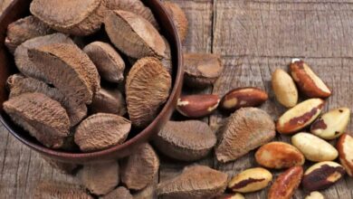 Photo of Pará amplia exportações de castanha-do-pará, mas setor pode ser afetado por taxação dos EUA
