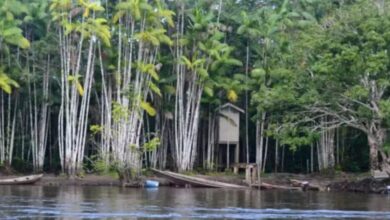 Photo of Seis homens são mortos em área isolada entre Amapá e Pará; polícia investiga chacina no Rio Iratapuru