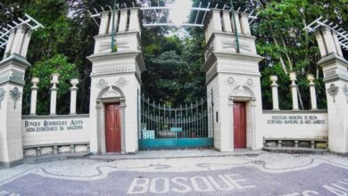Photo of Bosque Rodrigues Alves completa 142 anos de muita história