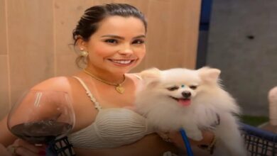 Photo of Prefeita de Marituba rebate críticas sobre animais na feira e cita ações da gestão