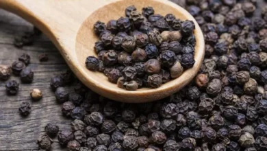 Photo of Tarifaço dos EUA derruba preço da pimenta-do-reino e preocupa produtores no Pará