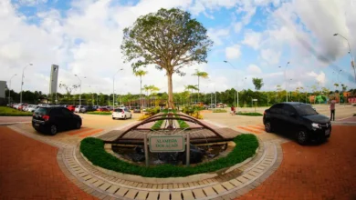 Photo of Parque do Utinga e APA Combu terão internet reforçada como legado da COP30