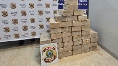Photo of PF incinera quase meia tonelada de cocaína apreendida em avião que caiu no Pará