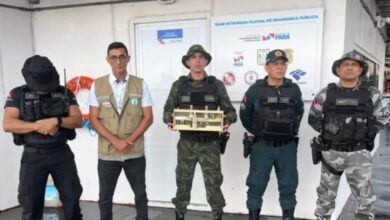 Photo of Fiscalização no rio Amazonas resgata aves silvestres e apreende munições em embarcação