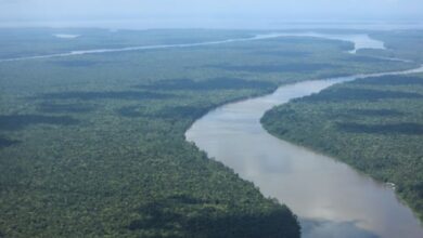 Photo of Pará registra menor número de alertas de desmatamento em agosto desde 2019