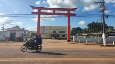 Photo of Tomé-Açu: da repressão na guerra ao modelo agroflorestal que une japoneses e ribeirinhos no Pará