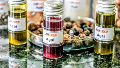 Photo of Pesquisadores da UFPA criam azeite inédito a partir do açaí com alto valor nutritivo e potencial econômico