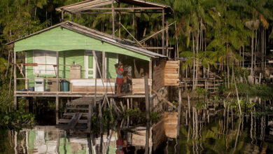 Photo of Ambientalismo de bar: o luxo de opinar sobre a Amazônia sem conhecer a Amazônia