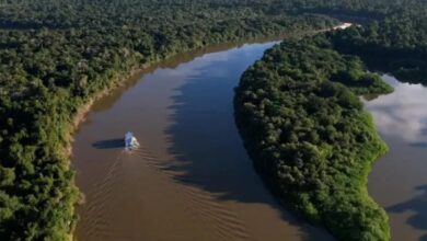 Photo of COP30 é necessidade de apoio global para preservar a Amazônia