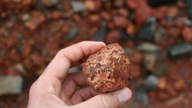 Photo of 4ª maior jazida de bauxita do mundo é descoberta no Pará e pode transformar a economia regional
