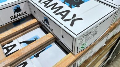 Photo of Pará vai exportar carne kosher para Israel com nova operação frigorífica em Paragominas