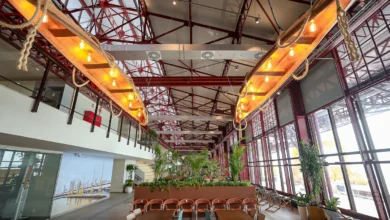 Photo of Açaí, café e bioeconomia: Belém testa modelo de desenvolvimento sustentável na Amazônia