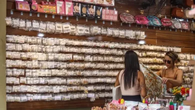 Photo of Pará cria 49 mil empregos formais entre janeiro e outubro de 2025, aponta Dieese