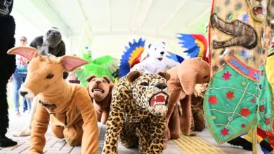 Photo of Bicharada do Juaba, tradição ribeirinha de Cametá, vira alvo de ataques de páginas bolsonaristas