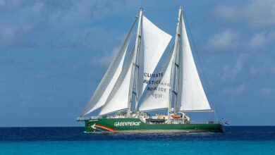 Photo of UFPA inaugura trapiche ribeirinho com chegada do navio Rainbow Warrior, do Greenpeace