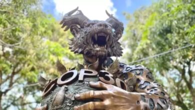 Photo of Escultura “dragão-onça” é apontado nas redes como “culpado” pelo incêndio na Blue Zone da COP30