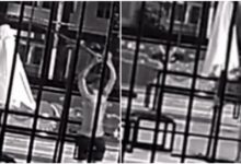 Photo of “Sombrinhão” do Parque Linear da Nova Tamandaré é furtada em Belém