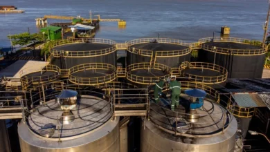 Photo of Após 15 anos, Agropalma retoma produção de biodiesel no Pará com tecnologia inédita e menor impacto ambiental