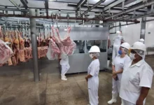 Photo of Pará domina ranking de exportações no Norte com 12 dos 20 municípios mais fortes da região