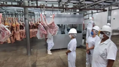 Photo of Pará domina ranking de exportações no Norte com 12 dos 20 municípios mais fortes da região