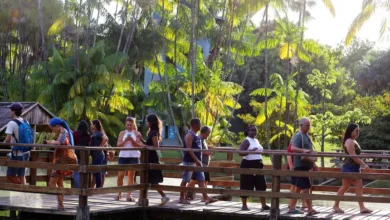 Photo of Belém desponta entre destinos mais procurados para o verão 2025/2026, aponta a Braztoa