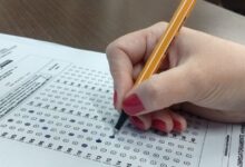 Photo of Seaster-PA abre 209 vagas em novo processo seletivo em Belém