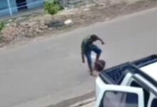 Photo of Homem apedreja cachorro até a morte em Capitão Poço