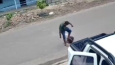 Photo of Homem apedreja cachorro até a morte em Capitão Poço