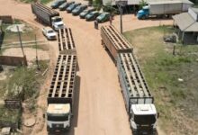 Photo of Vaqueiro contratado pelo Ibama é morto durante operação federal na Terra Indígena Apyterewa, no Pará