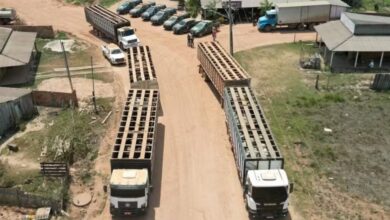 Photo of Vaqueiro contratado pelo Ibama é morto durante operação federal na Terra Indígena Apyterewa, no Pará