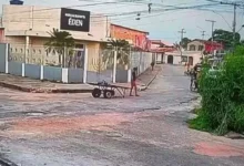 Photo of Cachorro atacado a pedradas por carroceiro em Icoaraci segue internado em estado gravíssimo