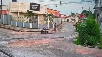 Photo of Cachorro atacado a pedradas por carroceiro em Icoaraci segue internado em estado gravíssimo