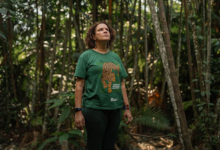 Photo of Imazon é reconhecido pela ONU como um dos Campeões da Terra por atuação na Amazônia
