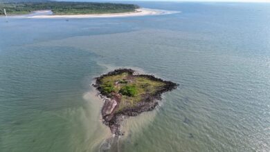Photo of Ilha do Farol, em Salvaterra, chama atenção por formato semelhante à América do Sul
