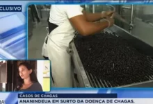 Photo of Ananindeua confirma 37 casos e três mortes por doença de Chagas