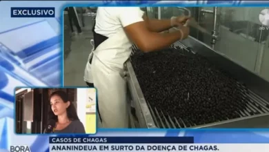 Photo of Ananindeua confirma 37 casos e três mortes por doença de Chagas