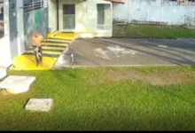 Photo of Cachorro é espancado pelo próprio tutor no Parque Verde, em Belém