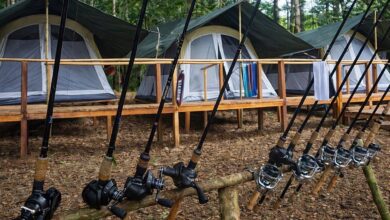 Photo of Justiça Federal proíbe definitivamente turismo empresarial em terra indígena no Pará