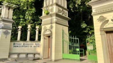Photo of Bosque Rodrigues Alves terá entrada gratuita neste fim de semana em Belém