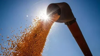 Photo of No Pará, Aprosoja defende saída da Moratória da Soja e afirma que controle ambiental já é garantido por lei