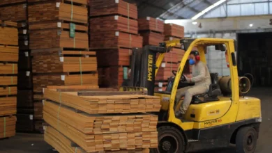 Photo of Exportação de madeira do Pará cresce 10,9% em 2025 e movimenta US$ 231 milhões