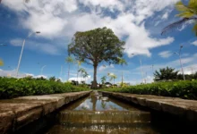 Photo of Parque Estadual do Utinga vai ganhar “Escola da Floresta” com foco em educação ambiental