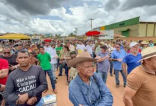 Photo of Governo do Pará articula com Ministério da Agricultura medidas para proteger preço do cacau e barrar importações