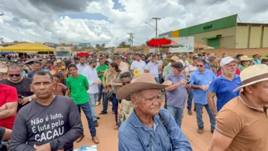 Photo of Governo do Pará articula com Ministério da Agricultura medidas para proteger preço do cacau e barrar importações