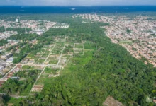 Photo of Imagens revelam avanço de ocupações e desmatamento em área de floresta em Vila dos Cabanos