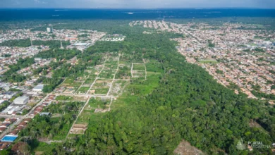 Photo of Imagens revelam avanço de ocupações e desmatamento em área de floresta em Vila dos Cabanos