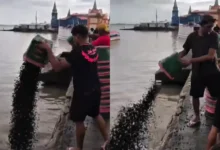 Photo of Por que vendedores jogaram açaí no rio em Belém? Entenda o motivo do descarte